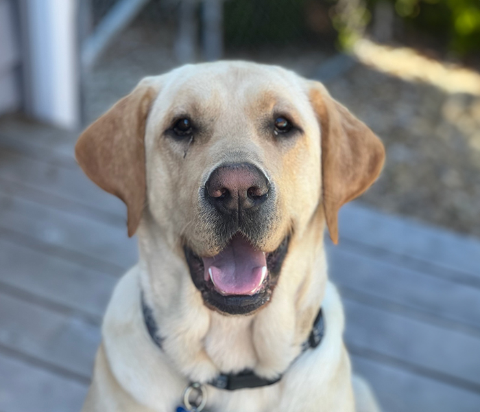 Headshot of Red